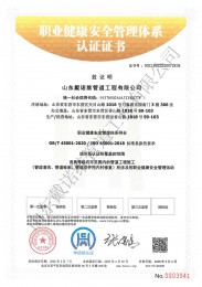 职业健康管理体系中文