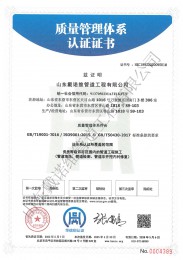 质量管理体系中文